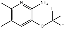 6-Amino-2,3-dimethyl-5-(trifluoromethoxy)pyridine Structure