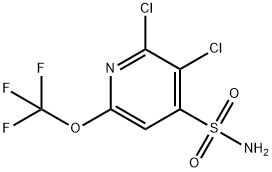 2,3-Dichloro-6-(trifluoromethoxy)pyridine-4-sulfonamide Structure