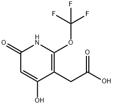 4,6-Dihydroxy-2-(trifluoromethoxy)pyridine-3-acetic acid Structure