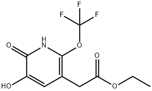 Ethyl 2,3-dihydroxy-6-(trifluoromethoxy)pyridine-5-acetate Structure