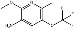 3-Amino-2-methoxy-6-methyl-5-(trifluoromethoxy)pyridine Structure