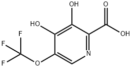 3,4-Dihydroxy-5-(trifluoromethoxy)pyridine-2-carboxylic acid Structure