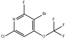 3-Bromo-6-chloro-2-fluoro-4-(trifluoromethoxy)pyridine Structure