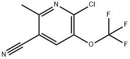 2-Chloro-5-cyano-6-methyl-3-(trifluoromethoxy)pyridine Structure