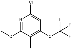 6-Chloro-2-methoxy-3-methyl-4-(trifluoromethoxy)pyridine Structure