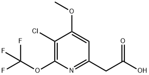 3-Chloro-4-methoxy-2-(trifluoromethoxy)pyridine-6-acetic acid Structure