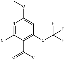 2-Chloro-6-methoxy-4-(trifluoromethoxy)pyridine-3-carbonyl chloride Structure