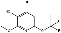 3,4-Dihydroxy-2-methoxy-6-(trifluoromethoxy)pyridine Structure