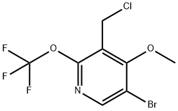 5-Bromo-3-(chloromethyl)-4-methoxy-2-(trifluoromethoxy)pyridine Structure