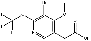 3-Bromo-4-methoxy-2-(trifluoromethoxy)pyridine-5-acetic acid Structure