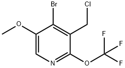 4-Bromo-3-(chloromethyl)-5-methoxy-2-(trifluoromethoxy)pyridine Structure