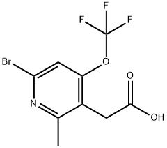 6-Bromo-2-methyl-4-(trifluoromethoxy)pyridine-3-acetic acid Structure