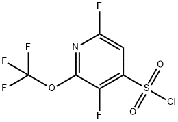 3,6-Difluoro-2-(trifluoromethoxy)pyridine-4-sulfonyl chloride Structure