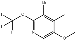 3-Bromo-5-methoxy-4-methyl-2-(trifluoromethoxy)pyridine Structure