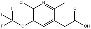 2-Chloro-6-methyl-3-(trifluoromethoxy)pyridine-5-acetic acid Structure