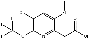 3-Chloro-5-methoxy-2-(trifluoromethoxy)pyridine-6-acetic acid Structure