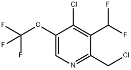 4-Chloro-2-(chloromethyl)-3-(difluoromethyl)-5-(trifluoromethoxy)pyridine Structure