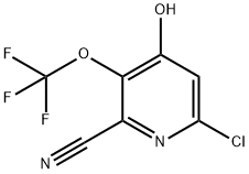 6-Chloro-2-cyano-4-hydroxy-3-(trifluoromethoxy)pyridine Structure