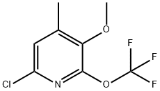 6-Chloro-3-methoxy-4-methyl-2-(trifluoromethoxy)pyridine Structure