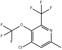 4-Chloro-6-methyl-3-(trifluoromethoxy)-2-(trifluoromethyl)pyridine Structure