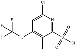 6-Chloro-3-methyl-4-(trifluoromethoxy)pyridine-2-sulfonyl chloride Structure