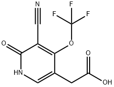 3-Cyano-2-hydroxy-4-(trifluoromethoxy)pyridine-5-acetic acid Structure