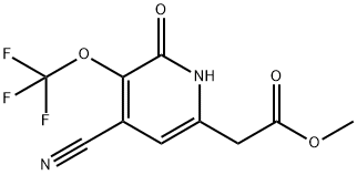 Methyl 4-cyano-2-hydroxy-3-(trifluoromethoxy)pyridine-6-acetate Structure