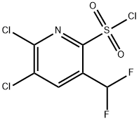 2,3-Dichloro-5-(difluoromethyl)pyridine-6-sulfonyl chloride Structure