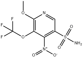 2-Methoxy-4-nitro-3-(trifluoromethoxy)pyridine-5-sulfonamide Structure