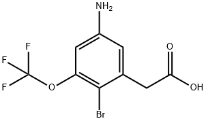 5-Amino-2-bromo-3-(trifluoromethoxy)phenylacetic acid Structure