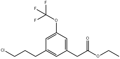 Ethyl 3-(3-chloropropyl)-5-(trifluoromethoxy)phenylacetate Structure