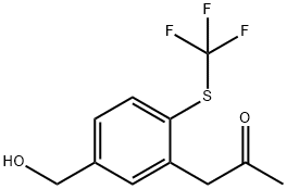 3-(2-Oxopropyl)-4-(trifluoromethylthio)benzylalcohol Structure