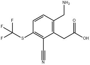 6-Aminomethyl-2-cyano-3-(trifluoromethylthio)phenylacetic acid Structure