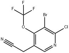 3-Bromo-2-chloro-4-(trifluoromethoxy)pyridine-5-acetonitrile Structure