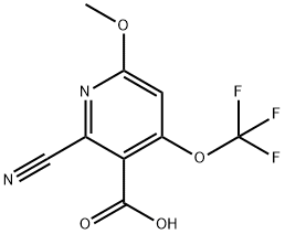 2-Cyano-6-methoxy-4-(trifluoromethoxy)pyridine-3-carboxylic acid Structure