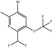 3-Bromo-6-(difluoromethyl)-2-methyl-5-(trifluoromethoxy)pyridine Structure