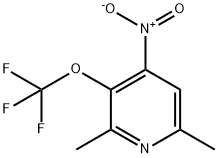 2,6-Dimethyl-4-nitro-3-(trifluoromethoxy)pyridine Structure