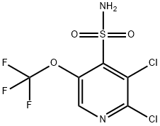 2,3-Dichloro-5-(trifluoromethoxy)pyridine-4-sulfonamide Structure