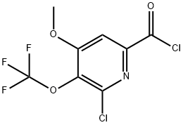 2-Chloro-4-methoxy-3-(trifluoromethoxy)pyridine-6-carbonyl chloride Structure