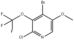 4-Bromo-2-chloro-5-methoxy-3-(trifluoromethoxy)pyridine Structure