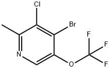4-Bromo-3-chloro-2-methyl-5-(trifluoromethoxy)pyridine Structure