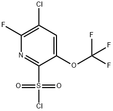 3-Chloro-2-fluoro-5-(trifluoromethoxy)pyridine-6-sulfonyl chloride Structure