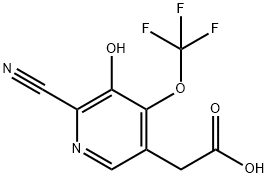 2-Cyano-3-hydroxy-4-(trifluoromethoxy)pyridine-5-acetic acid Structure