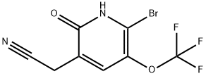 2-Bromo-6-hydroxy-3-(trifluoromethoxy)pyridine-5-acetonitrile Structure