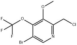 5-Bromo-2-(chloromethyl)-3-methoxy-4-(trifluoromethoxy)pyridine Structure