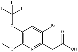 5-Bromo-2-methoxy-3-(trifluoromethoxy)pyridine-6-acetic acid Structure