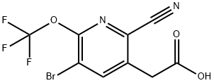 3-Bromo-6-cyano-2-(trifluoromethoxy)pyridine-5-acetic acid Structure