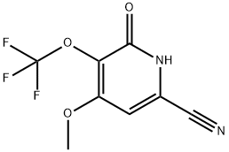 6-Cyano-2-hydroxy-4-methoxy-3-(trifluoromethoxy)pyridine Structure