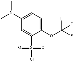 5-Dimethylamino-2-(trifluoromethoxy)benzenesulfonylchloride 구조식 이미지