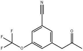 3-(2-Oxopropyl)-5-(trifluoromethoxy)benzonitrile Structure